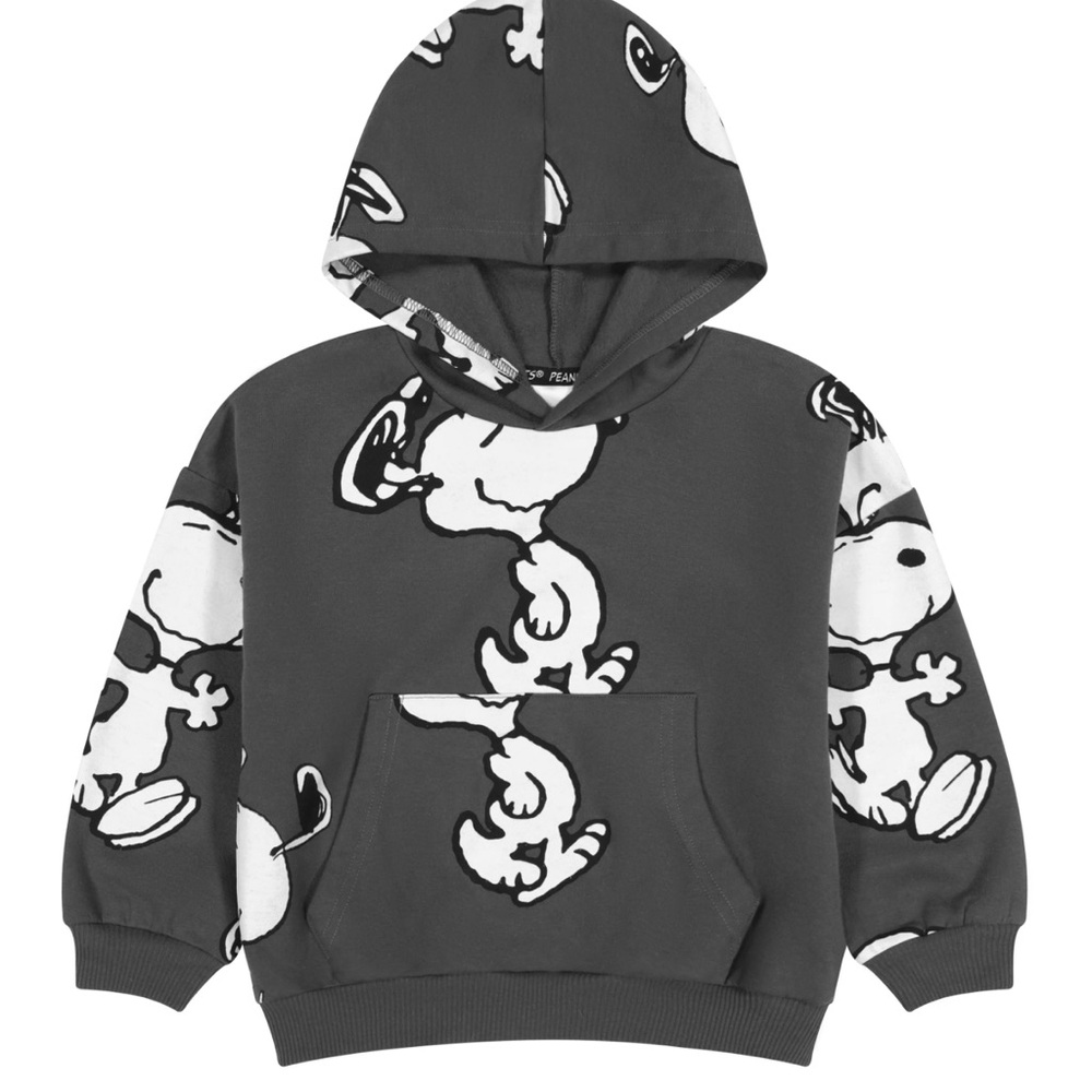 Peanuts Snoopy Toddler Boy Fleece Hoodie Size 4T